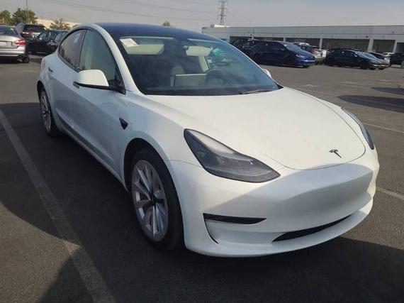 TESLA MODEL 3 2023 5YJ3E1EA7PF493824 image